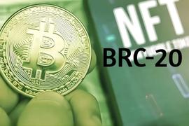ORDI:veDAO研究院：如何玩转BRC-20？_brc20是什么意思