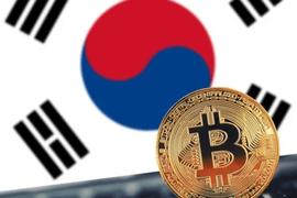 TOKE:玩转这几个监测工具，抓住韩国的Crypto pump_TOK