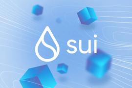 OIN:手把手教你撸公链Sui测试网空投_fil币创始人胡安最新消息