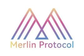 BUSD:专访Merlin Protocol：RWAs+NFT，NFT市场的下个风口？_CK USD