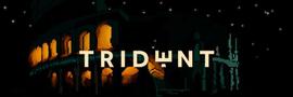 ENT:三天四倍，Arbitrum链游Trident（PSI）在讲什么故事？_RIDES币