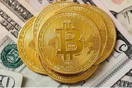 TOKE:盗窃他人比特币，竟然不算偷？_INTER