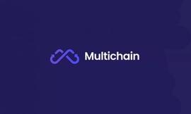 Chain:Multichain升级一周年，市占率近50%的跨链桥是如何打造的？_Multiverse