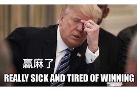 RUM:谢谢特朗普的NFT，给熊市带来这么多欢乐_PLA