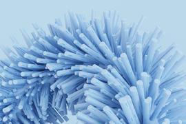 NTR:抛开意识形态, DAO是什么？_Fermat Capital Management