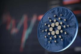 CAR:技术指南：如何在Cardano上构建交易？_cardano