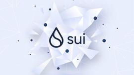 ART:Sui创始人亲笔：以“挤公交”为例阐述Sui的性能优势_NFT2$币