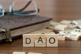 SLIM:回顾Tribe DAO提案关停事件：DeFi 史上最大停工_TRI