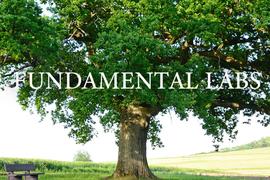 区块链:Fundamental洞察：一文读懂跨链交易市场_NAN