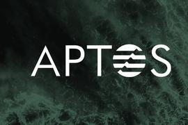 区块链:速览Aptos白皮书：安全、可扩展和可升级的Web3基础设施_ETH Shiba