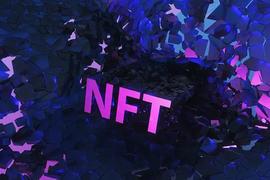 NFT:深度解析CC0 NFT：开放版权能否打破NFT市场死水？_BIRDS