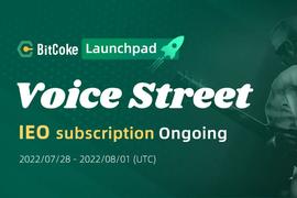 元宇宙:熊市里的IEO：Voice Street在元宇宙玩转音乐NFT_Forest Knight