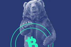 CRYPT:CB Q2百页报告速览：熊市来临，VCs的投资状态如何？_Cryptoheadz