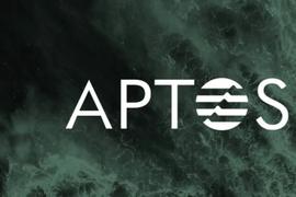 TUR:全方位盘点新公链Aptos生态项目：DeFi占据主导_aptos币价最高