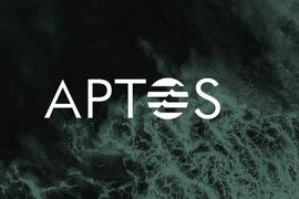 Aptos:详解a16z青睐的新公链项目Aptos，有哪些优势与风险？_WEB