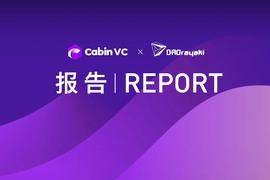 MEZ:Cabin Report：2022二季度BNB Chain生态发展报告_Wolf Pups