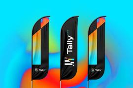 VENT:Tally Labs 创始人：从令人振奋的种子轮融资聊起，细数Web3创业者融资准则_Juventus Fan Token