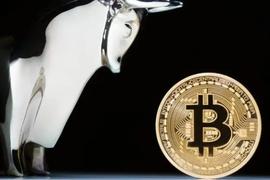 OIN:Paradigm：如何穿越加密市场的波动周期_BAS