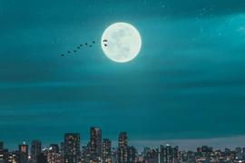 UNA:锚定不住的月光：Terra的缘起、困境、推演、出路_Lunasphere