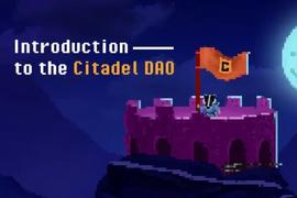 WAR:详解Citadel DAO代币经济学：如何成长为比特币巨鲸？_BAD