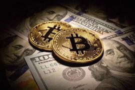 CRYP:Andre Cronje：加密文化的兴衰_CRYPTO