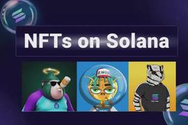 ODS:一文盘点Solana上的10大NFT蓝筹项目_VSOL币