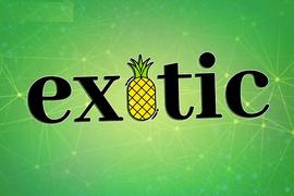 NFT:将投资策略化繁为简，Exotic Markets想成为“加密私人银行”_OTI
