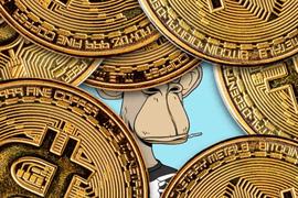 WEB3:半年回报250倍，8条经验教你如何投资NFT_DAPP