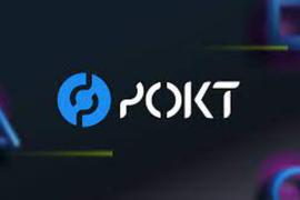 LESS:Pocket Network 11月增长超300%，现支持Harmony、Solana、Avalanche等_POC