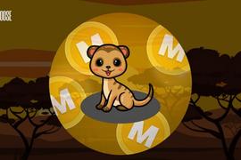 MONGOOSE:美国议员随口说的猫鼬币，正被社区演变成下一个SHIB_MEM