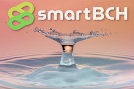 BCH:社区实验式推出DAO空投，上线4个月的SmartBCH终于出圈_DAO
