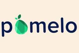 POM:项目方如何在Pomelo上申请资助？ | Pomelo正式上线并开启项目资助申请_SOL