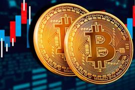 WEB:比特币创今年最高单月涨幅，巨鲸增持，供应和网络动态看涨_比特币