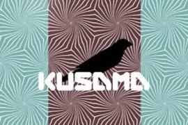 KUSA:波卡平行链插槽拍卖即将拉开帷幕，速览 Kusama 头批中拍项目的最新进展_KUS