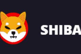 SHI:一文解析过去一周 SHIB 上涨的三大原因_狗狗币