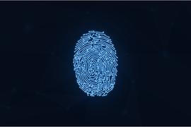 区块链:Web3.0 时代背景下，探讨 DID 的想象空间_PASTA Vault (NFTX)