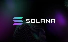TAL:SOLANA区块链研报分析_Global Digital Trade Warrant