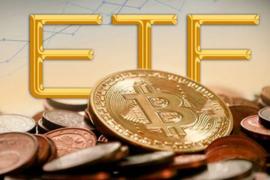 NEO:加拿大比特币ETF市场现状与灰度比特币信托的比较_PUR