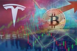 比特币:原来特斯拉的BTC买入价，才是市场「铁底」_BTC