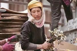 VER:NFT背后的法律与道德：以稀缺之名，行盗版之实_CTO