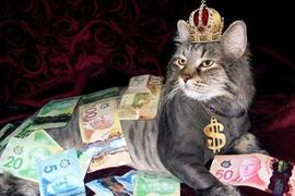 QUO:NFT版图扩张，Web3稳步上升，这一切是如何发生的？_PUNK