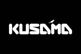 KUSA:Kusama平行链插槽竞拍策略一览_metamask苹果手机版