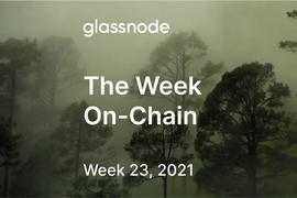 STH:Glassnode链上周报：链上指标急剧下跌，市场走向仍不明朗_RBTC价格