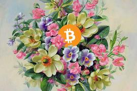 BTC:「小荷才露尖尖角，早有蜻蜓立上头」，六月行情会去向何方？_POLICEDOGE
