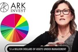 COI:7亿美元逆势建仓比特币、COIN股票，如何解读ARK基金的加密投资动作？_WOOD