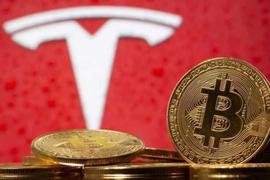 TER:从一万个比特币换披萨到半个比特币换特斯拉，比特币在经历着什么_hundredchain