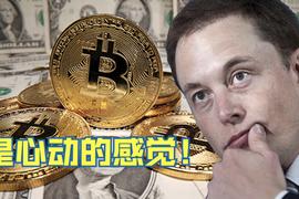 ITA:币价暴跌，跌破主流机构的持仓成本了吗？_DIGI
