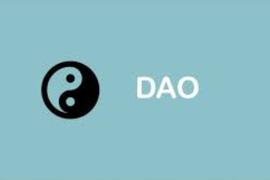PIT:DAO的发展历程与展望_Santiment Network Token