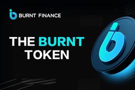 BURN:BURNT 通证介绍_CRYPT