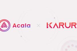 CAL:Acala & Karura 经济模型须知与防指南_ALA